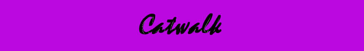Catwalk Studio